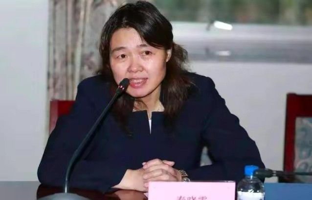 厨子二宝（孙兴 饰）是个42岁的中年汉子，由于被老板卷铺盖，又跟老婆（姜宏波 饰）闹离婚，感受人生无看，筹办撞车自杀。没想到，他求死不成，碰到八仙女（谢娜 饰），后者具有超凡能力，可以帮他实现胡想。二宝欣喜若狂，前后测验考试了多种脚色：做年夜侠时，他（莫少聪 饰）与侠女（杨丽菁 饰）是武林高手；扮富人时，他（雪村 饰）却被表哥（梁天 饰）与段蜜斯（傅艺伟 饰）骗得团团转；当明星时，他（李修贤 饰）因拍戏不克不及见母亲临终一面而哀思欲尽；作美女时，他（钟欣桐 饰）得面临色狼上司的穷追不舍；当天子时，他（焦恩俊 饰